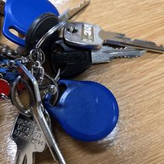 Sleutelbos, zoals gemeld door Gemeente Geertruidenberg met iLost