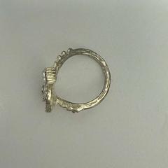 Prstene steel ring, ako bolo nahlásené Ramada by Wyndham Amsterdam Airport Schiphol pomocou iLost