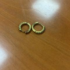 ピアス がiLostで ibis Schiphol Amsterdam Airport によって報告されました