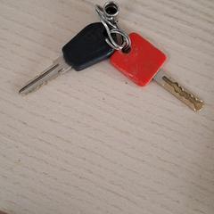 Bicycle keys, as reported to iLost