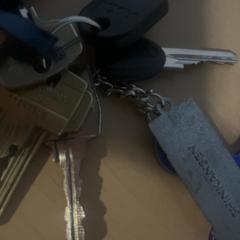 키체인, iLost를 사용하여 Jaarbeurs에 보고됨