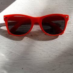 Sunglasses, as reported by DierenPark Amersfoort using iLost