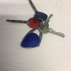 Clave Blauwe tag rode pinsleutel, segundo informou Haaglanden Medisch Centrum usando iLost