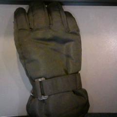 Handschuh, gemeldet von SnowWorld Landgraaf über iLost