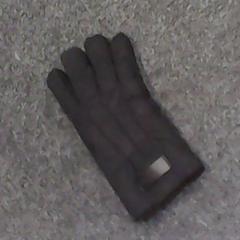 Gloves, as reported by SnowWorld Landgraaf using iLost