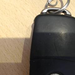 Clef de voiture zwart, a été signalé par Walibi Holland utilisant iLost
