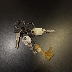 Sleutelbos met giraf sleutelhanger, segons s'ha informat a iLost