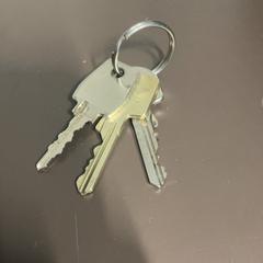 المفاتيح (متنوعة)، كما تم الإبلاغ عنه بواسطة Pathé Amersfoort عبر iLost