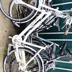 Dámské kolo Gazelle, jak nahlášeno Stadswerk072 pomocí iLost