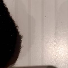 Plüss, amint azt De Efteling az iLost segítségével jelentette.