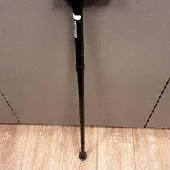 Käpp Zwart, rapporterat av Diergaarde Blijdorp med iLost