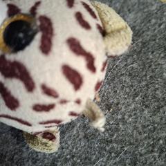 Tijger knuffel, som rapportert til iLost