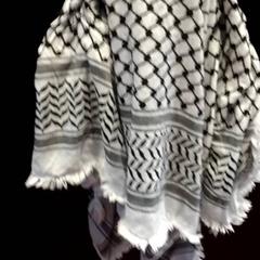 Châle Zwart/Wit, a été signalé par TivoliVredenburg utilisant iLost