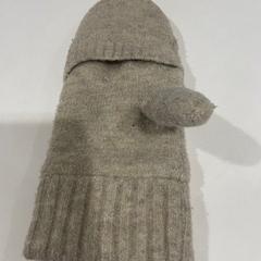 Hanske handschoen, som rapportert av TU/e - Receptie Atlas ved bruk av iLost