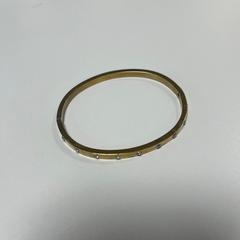 ブレスレット がiLostで Gemeente Ede によって報告されました