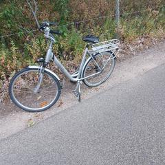 Fiets merk Stella, segons s'ha informat a iLost