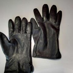 Hansker, som rapportert av Twisto ved bruk av iLost