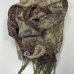 Sjaal  Bruin Beige, zoals gemeld door Connexxion Zeeland met iLost