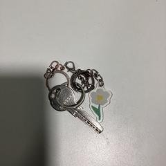 Nyckel Met bloemhanger -270126 RAYE1, rapporterat av Ziggo Dome med iLost