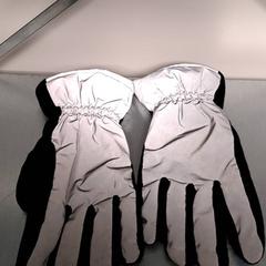 手袋 Svart silver がiLostで Keolis Lund によって報告されました