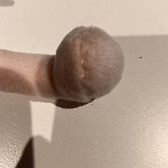 Knuffel, ha sido reportado por De Efteling con iLost