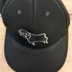 Zwarte pet, zoals gemeld door Pouw Vervoer met iLost