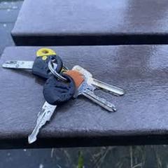 sleutelbos, jak bylo nahlášeno na iLost