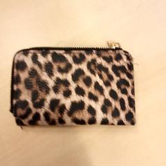 Geldbeutel Van Liempt, gemeldet von Arriva Den-Bosch über iLost