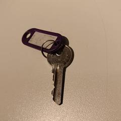 Kľúč Paarse sleutelhanger, ako bolo nahlásené IKEA Groningen pomocou iLost