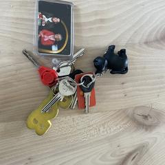 Sleutelbos, som rapporterats till iLost