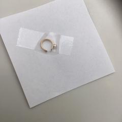 Oorbel / earring, as reported by Rijksmuseum using iLost