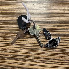 Sleutelbos, iLost에 보고됨