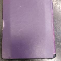 Lector electrònic, segons ha informat Rotterdam The Hague Airport mitjançant iLost