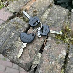 Sleutelbos, come riportato a iLost