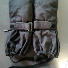 Vante Zwart, rapporterat av Burgers' Zoo med iLost