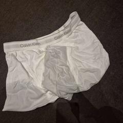 Boxerka white, jak nahlášeno The Dominican pomocí iLost