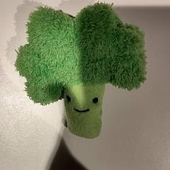 Jouet, a été signalé par Bibliotheek Neude (Utrecht) utilisant iLost