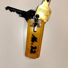 المفاتيح، كما تم الإبلاغ عنه بواسطة Ziekenhuis Oost-Limburg عبر iLost