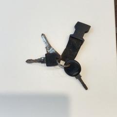 سلسلة المفاتيح، كما تم الإبلاغ عنه بواسطة Gemeente Weert عبر iLost