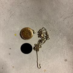 gouden kettig, iLost-i jakinarazi zaion moduan