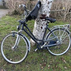 Fiets met kinderzitje voor, iLost에 보고됨