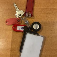 İLost kullanarak Gemeente Amsterdam - Bureau Gevonden Voorwerpen tarafından bildirildiği gibi Anahtarlık