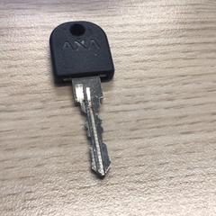 Klíč, jak nahlášeno Gemeente Arnhem pomocí iLost