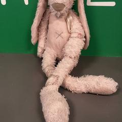 かわいらしいうさぎ がiLostで Diergaarde Blijdorp によって報告されました