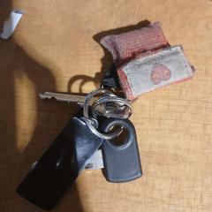 Keychain Sleutels, as reported by Zwarte Cross using iLost