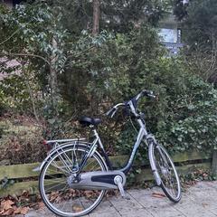 Fiets gazelle, ha sido reportado a iLost