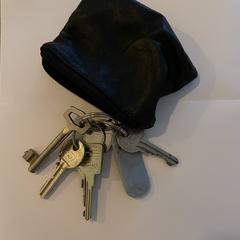 Sleutelhoes met sleutels, come riportato a iLost