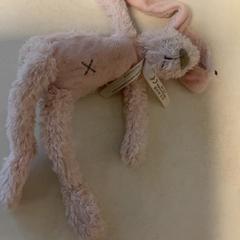 Knuffel Roze, rapporterat av Artis med iLost