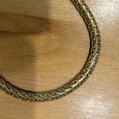 Armband met bedeltje, iLost'a bildirildiği gibi