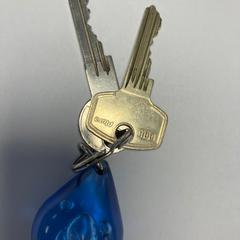 Sleutels Blauwe sleutelhanger, zoals gemeld door Connexxion Amstelland-Meerlanden Schiphol Zuid met iLost